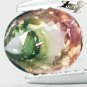 Natural Oval 6*7 mm. Pink Green Nigeria Bi Color Liddicoatite Tourmaline 1.14 CT
