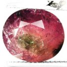 4.77 CT.Natural Oval 10*11.5 mm. Red Pink Green Bi Color Watermelon Tourmaline