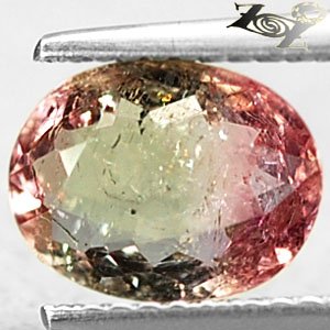 Natural Oval 7*9 mm. Green Pink Zone Bi Color Liddicoatite Tourmaline 1.94 CT.