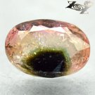 Natural Oval 6*8 mm. Green Pink Black Tri Color Liddicoatite Tourmaline 1.37 CT.