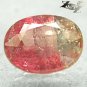 Natural Oval 6*7.5 mm. White Pink Bi Color Liddicoatite Tourmaline 1.28 CT.Gems