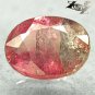 Natural Oval 6*7.5 mm. White Pink Bi Color Liddicoatite Tourmaline 1.28 CT.Gems