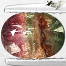 Natural Oval 6*8 mm. Green Yellow Pink Tri Color Liddicoatite Tourmaline 1.5 CT.