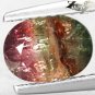 Natural Oval 6*8 mm. Green Yellow Pink Tri Color Liddicoatite Tourmaline 1.5 CT.