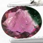 Natural Oval 7*9 mm. Deep Green Pink Bi Color Liddicoatite Tourmaline 1.36 CT.