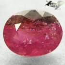 2.1 CT.Natural Oval 7*9 mm. Intense Pink Green Bi Color Liddicoatite Tourmaline