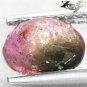 Natural Oval 6*8 mm Green White Pink Tri Color Liddicoattite Tourmaline 1.69 CT.