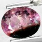 Natural Oval 6*8 mm. Pink Black White Tri Color Liddicoatite Tourmaline 1.27 Ct.