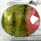 2.6 Ct.Natural Oval 8*10 mm. Pink Green Black Tri Color Liddicoatite Tourmaline