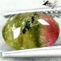 2.6 Ct.Natural Oval 8*10 mm. Pink Green Black Tri Color Liddicoatite Tourmaline