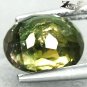 2.48 Ct.Natural Oval 7.5*9 mm. Rainbow spark Hexagon color Green Tourmaline Gems
