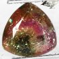 Natural Trillion 8mm Pink Yellow Green Tri Color Liddicoatite Tourmaline 1.83 Ct