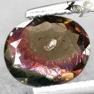 Natural Oval Green Pink Yellow Tri Color Liddicoatite Tourmaline 1.03 CT.Gems