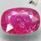 11.09 CT.Natural Oval 13*17mm. Intense Hot Pink Red Nigeria Rubellite Tourmaline