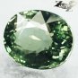 6.5 CT.VVS Natural Oval 10*12 mm. Intense Forest Green Verdelite Toumaline &ccedil;&raquo;&iquest;&egrave;�&sup2;&eacute;�&raquo;&aelig;&deg;&pound;&ccedil;�&sup3;