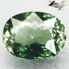 11.96 CT.VVS1 Natural Oval 12.5*16.5 mm. Forest Green Verdelite Tourmaline 绿色電氣石