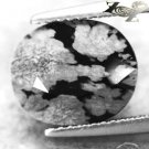 4.17 CT.Natural Oval 9.5*11.5 mm. Grey Patch Black Africa Snowflake Obsidian Gem