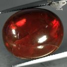 28.11 CT.Natural Oval 16.5*20 mm. Extreme Play Rainbow Color Chocolate Fire Opal