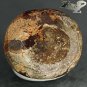 9.89 CT.Natural Oval 13.5*15 mm Extreme Play Red Green Color Chocolate Fire Opal