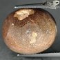 21.28 CT.Natural Oval 16*18 mm. Play Red Green Color Brown Chocolate Fire Opal