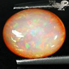 Unique Natural Oval 8*10 mm. Play Rainbow Color Bi Layer Orange Fire Opal 1.71CT