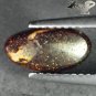 Natural Australia Extreme Play Rainbow Color Blue Doublet Opal 0.92 CT.&eacute;��&aring;&sup3;&deg;&egrave;��&ccedil;�&frac12;&ccedil;�&sup3;