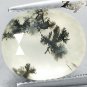5.65 CT.Natural Oval 11*13.5 mm. Perfect Black Dendrite Moss Tree White Opal Gem