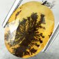 3.91 Ct.Natural Oval 11*14mm Perfect Dendrite Moss Like Living Tree Yellow Opal