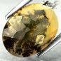 3.91 Ct.Natural Oval 11*14mm Perfect Dendrite Moss Like Living Tree Yellow Opal