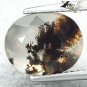 3.53 CT.Natural Oval 9*11.5mm Perfect Black Dendrite Moss Fern Inside White Opal