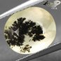 3.3CT.Natural Oval 10*11.5 mm Perfect Black Dendrite Moss Fan Pattern Silky Opal