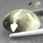 3.3CT.Natural Oval 10*11.5 mm Perfect Black Dendrite Moss Fan Pattern Silky Opal