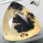 9.71 CT.Natural Trillion 15 mm. Perfect Black Dendrite Moss Tree Yellow Opal Gem