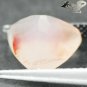 2.36CT.Strange Natural Trillion 10 mm. Orange Red Dendrite Moss Tree Inside Opal