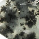 2.34 CT.Strange Natural Pear 9*11.5 mm. Black Dendrite Moss Jaguar Skin Opal