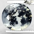 3.85 CT.Natural Oval 10*11 mm. Clear Black Dendrite Moss Tree Crystal White Opal