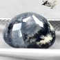 3.85 CT.Natural Oval 10*11 mm. Clear Black Dendrite Moss Tree Crystal White Opal