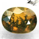 3.35 CT.Natural Oval 9*11.5 mm. Black Moss Forest  Yellow Crystal Opal 苔火蛋白石