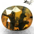 4.94 CT.Natural Oval 10*12.5 mm. Forest Black Dendrite Moss Intense Yellow Opal