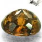 4.94 CT.Natural Oval 10*12.5 mm. Forest Black Dendrite Moss Intense Yellow Opal