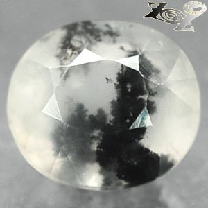 3.99 CT.Natural Oval 10*11mm. Clear Black Dendrite Moss Fern Tree White Opal Gem