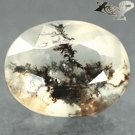 3.24 CT.Natural Oval 9*11mm. Clear Black Dendrite Moss Fern Tree Crystal Opal
