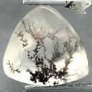 3.4 CT.Natural Trillion 10 mm.Clear Black Dendrite Moss Tree Crystal White Opal