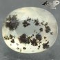 2.83 CT.Natural Oval 9*11 mm. Perfect Black Dendrite Moss Dalmatian White Opal