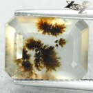 3.7 CT.Natural Emerald 10*13 mm. Clear Black Dendrite Moss Crystal White Opal