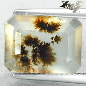 3.7 CT.Natural Emerald 10*13 mm. Clear Black Dendrite Moss Crystal White Opal
