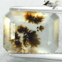 3.7 CT.Natural Emerald 10*13 mm. Clear Black Dendrite Moss Crystal White Opal