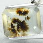 3.7 CT.Natural Emerald 10*13 mm. Clear Black Dendrite Moss Crystal White Opal