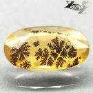 33.57 CT.Natural Oval 9.5*16 mm. Perfect  Clear Moss Dendrite Yellow Opal 火蛋白石