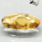 33.57 CT.Natural Oval 9.5*16 mm. Perfect Clear Moss Dendrite Yellow Opal ç«èç½ç³